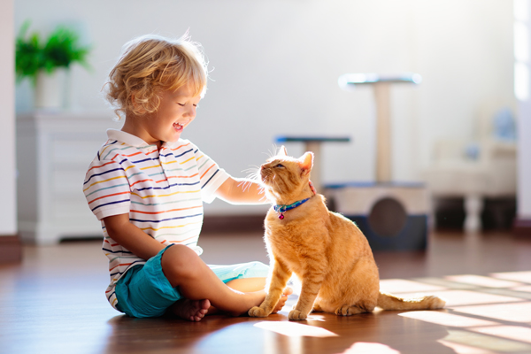 kid with cat