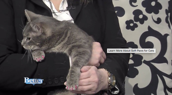 Dr. Dennis is showing us Trixie the cat's soft paws, a safe way to keep ypur kitty's claws under control. - video