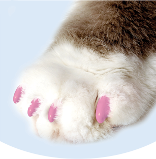 soft claws for cats