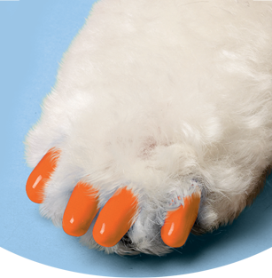 soft claws for dogs